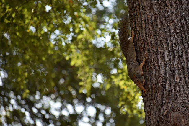 战略性的调 战略性的调